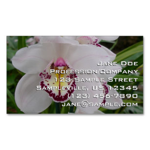 Vit Orchid II Elegant Blommigt Magnetiska Visitkort