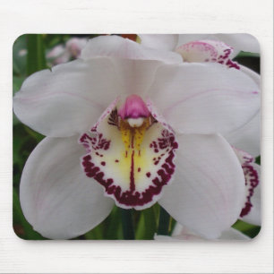 Vit Orchid II Elegant Blommigt Musmatta