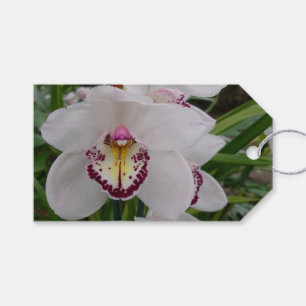 Vit Orchid II Elegant Blommigt Presentetikett