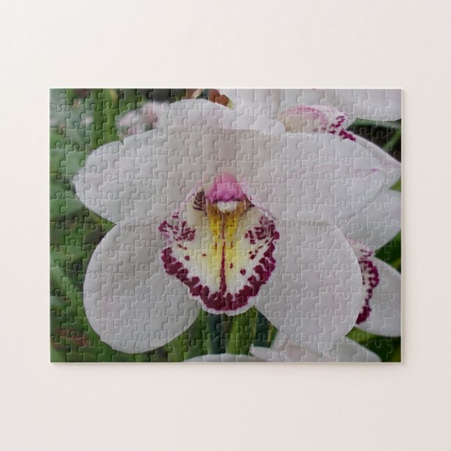 Vit Orchid II Elegant Blommigt Pussel (Horisontell)