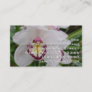 Vit Orchid II Elegant Blommigt Visitkort