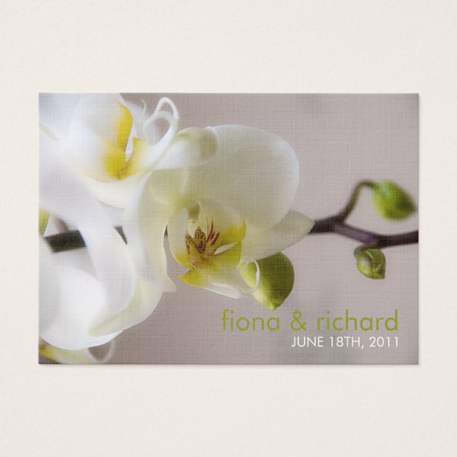 Vit Orchid ・ Märkre för bröllopsförmån Visitkort (Framsidan)