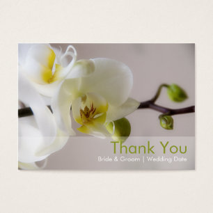 Vit Orchid ・ Märkre för bröllopsförmån Visitkort
