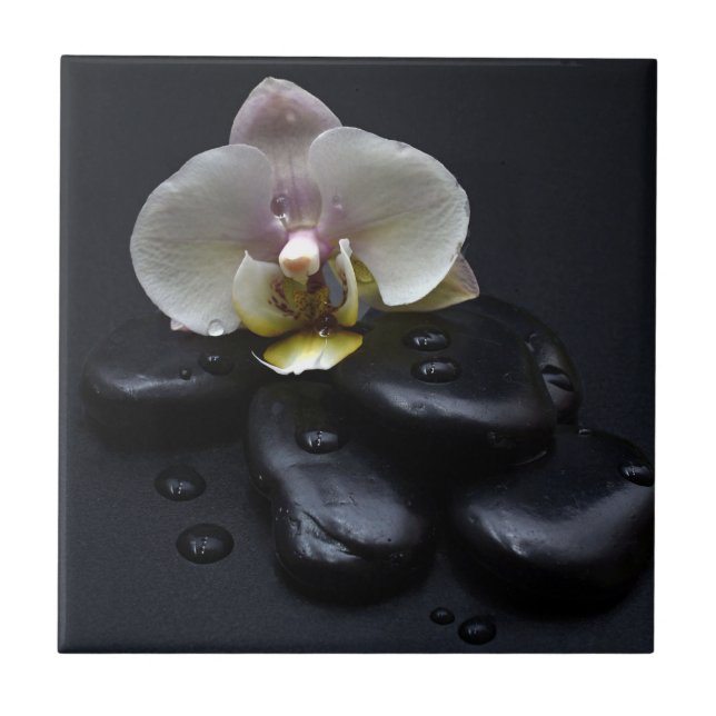Vit Orchid på svarta stenar Kakelplatta (Framsidan)