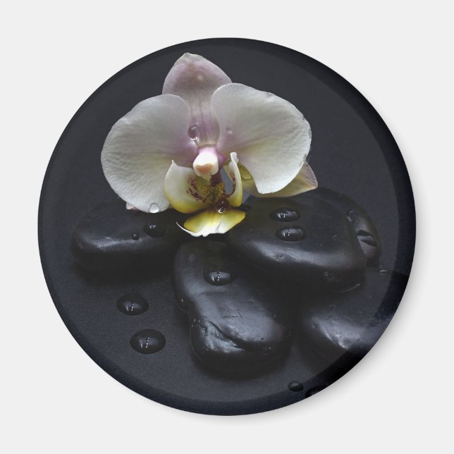 Vit Orchid på svarta stenar Magnet (Framsidan)