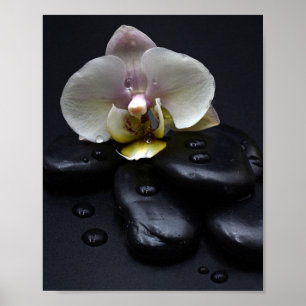 Vit Orchid på svarta stenar Poster