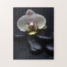Vit Orchid på svarta stenar