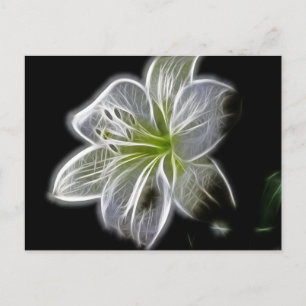 Vit, orchid, rektum på svart vykort