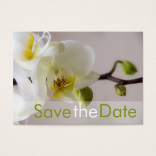 Vit Orchid ・ Spara Mini-kortet för datum Visitkort