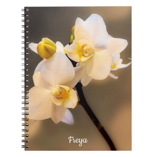 Vit Orchid Spiral-fotbok för anteckningsbok (Framsidan)
