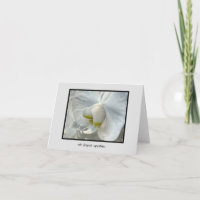 Vit Orchid Touch of Gult Deepest Sympathies