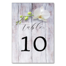 Vit Orchid Wooden Background Bröllop