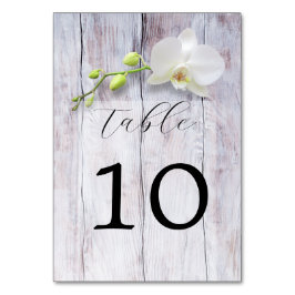 Vit Orchid Wooden Background Bröllop Bordsnummer