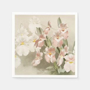 Vit Orchids Flower Vintage Old Illustration Pappersservett