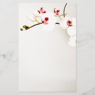 Vit Orchids Stationery Brevpapper