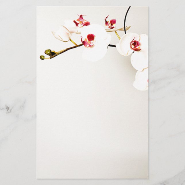 Vit Orchids Stationery Brevpapper (Framsida)