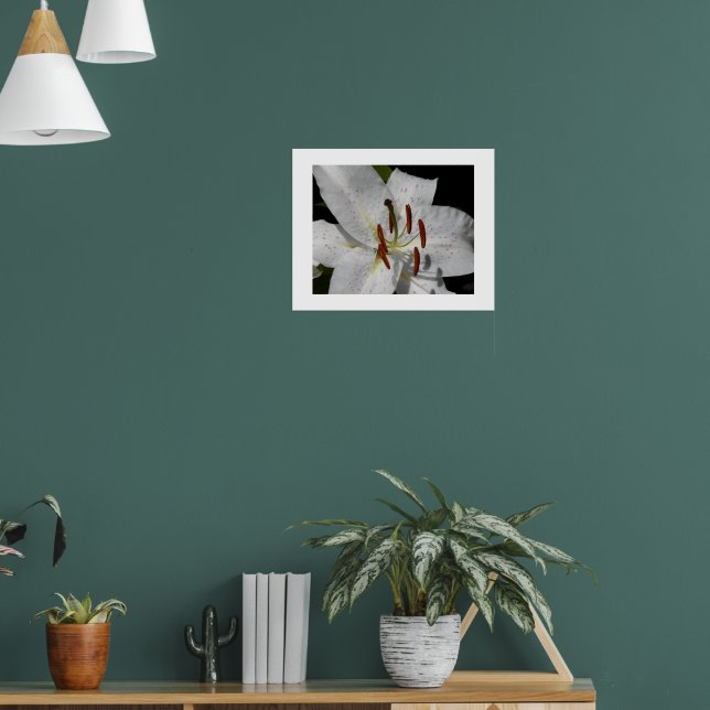 Vit Orientalisk Lilja Blommig Fotografisk Poster (Vardagsrum 1)