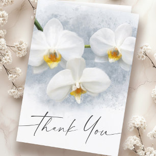 Vit orkidé phalaenopsis elegant skrivstil tack kort
