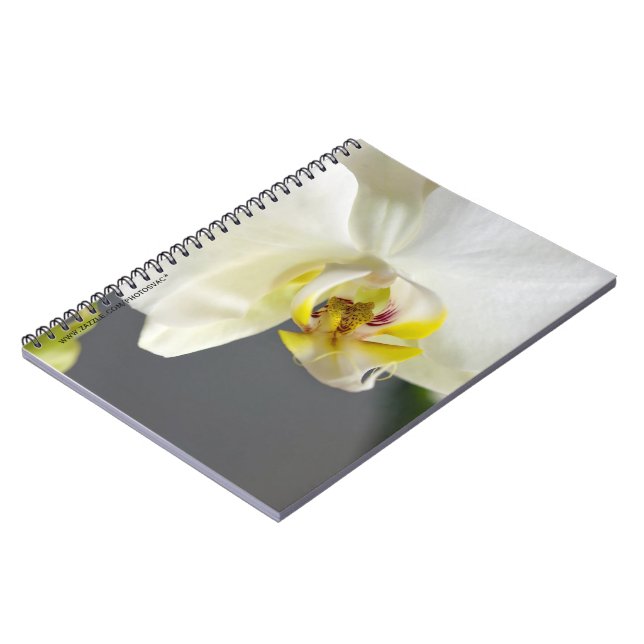Vit orkidéblomma anteckningsbok med spiral (Vänstra Sidan)