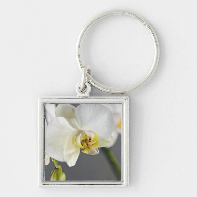 Vit orkidéblomma fyrkantig silverfärgad nyckelring (Framsidan)
