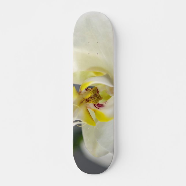 Vit orkidéblomma skateboard bräda 19,5 cm (Framsida)