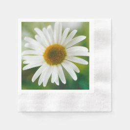 Vit Oxeye-Daisy - Leucanthemum vulgare Pappersservett