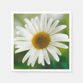 Vit Oxeye-Daisy - Leucanthemum vulgare Pappersservett