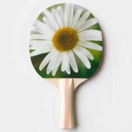 Vit Oxeye-Daisy - Leucanthemum vulgare Pingisracket