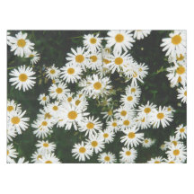 Vit Oxeye-Daisy, Måne Daisy Meadow