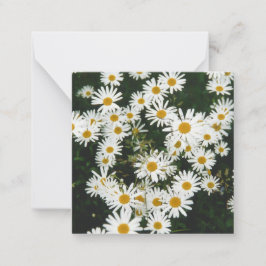 Vit Oxeye-Daisy, Måne Daisy Meadow Anteckningskort