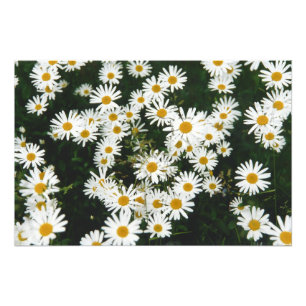 Vit Oxeye-Daisy, Måne Daisy Meadow Fototryck