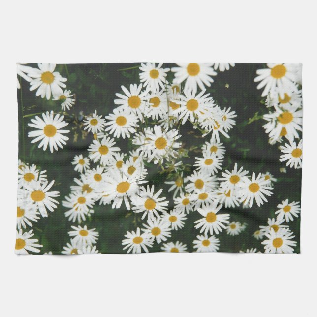 Vit Oxeye-Daisy, Måne Daisy Meadow Kökshandduk (Horisontell)