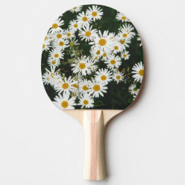 Vit Oxeye-Daisy, Måne Daisy Meadow Pingisracket