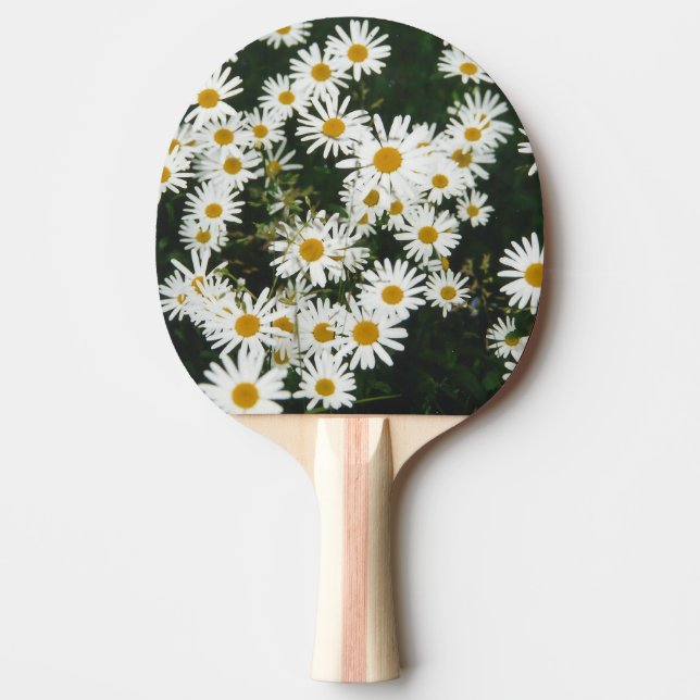 Vit Oxeye-Daisy, Måne Daisy Meadow Pingisracket (Framsidan)