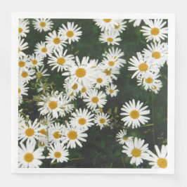 Vit Oxeye Daisy Meadow Pappersservett