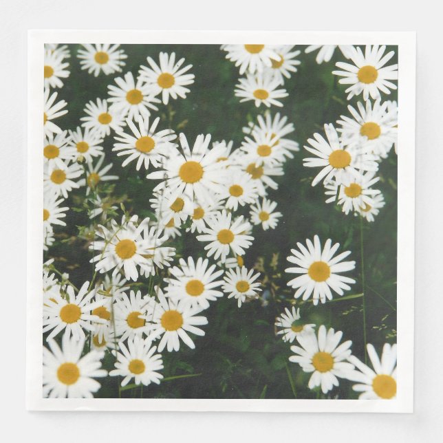 Vit Oxeye Daisy Meadow Pappersservett (Framsida)
