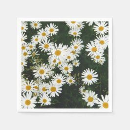 Vit Oxeye Daisy Meadow Pappersservett