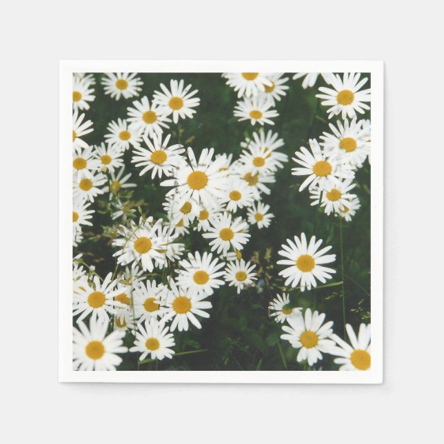 Vit Oxeye Daisy Meadow Pappersservett (Framsidan)