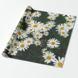 Vit Oxeye Daisy Meadow Presentpapper