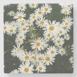 Vit Oxeye Daisy Meadow Stenunderlägg