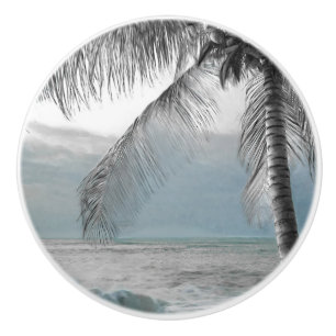 Vit palmkokospalm Elegant strandparadis Knopp
