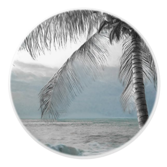 Vit palmkokospalm Elegant strandparadis Knopp (Framsidan)