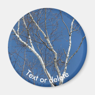 Vit pappersbjörk blå himmel natur personlig magnet