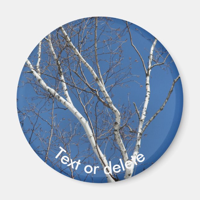 Vit pappersbjörk blå himmel natur personlig magnet (Framsidan)