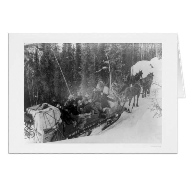 Vit passerar det Alaska Sledtåg 1903 Hälsningskort (Framsidan Horizontal)