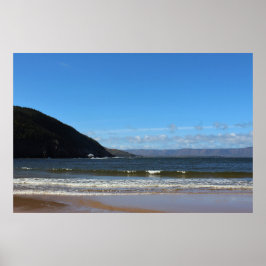 Vit pekar stranden poster