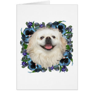 Vit Pekingese med penséer Hälsningskort