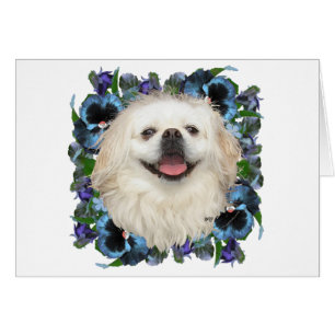 Vit Pekingese med penséer Hälsningskort