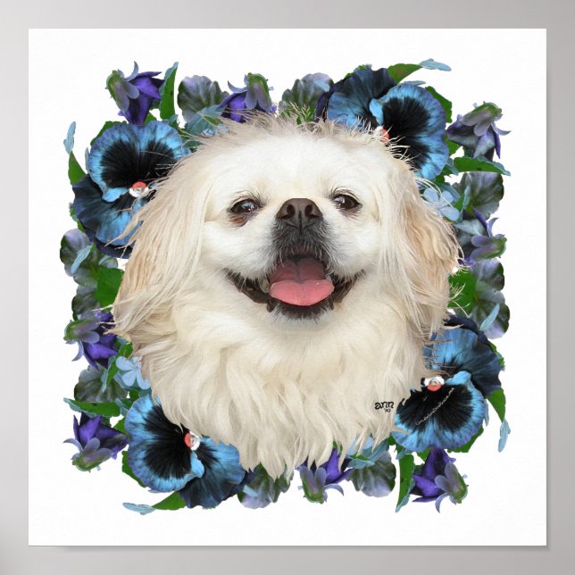 Vit Pekingese med penséer Poster (Framsidan)