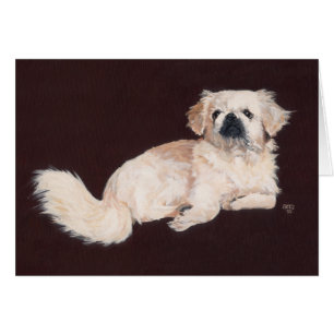 Vit Pekingeser Hund Hälsningskort